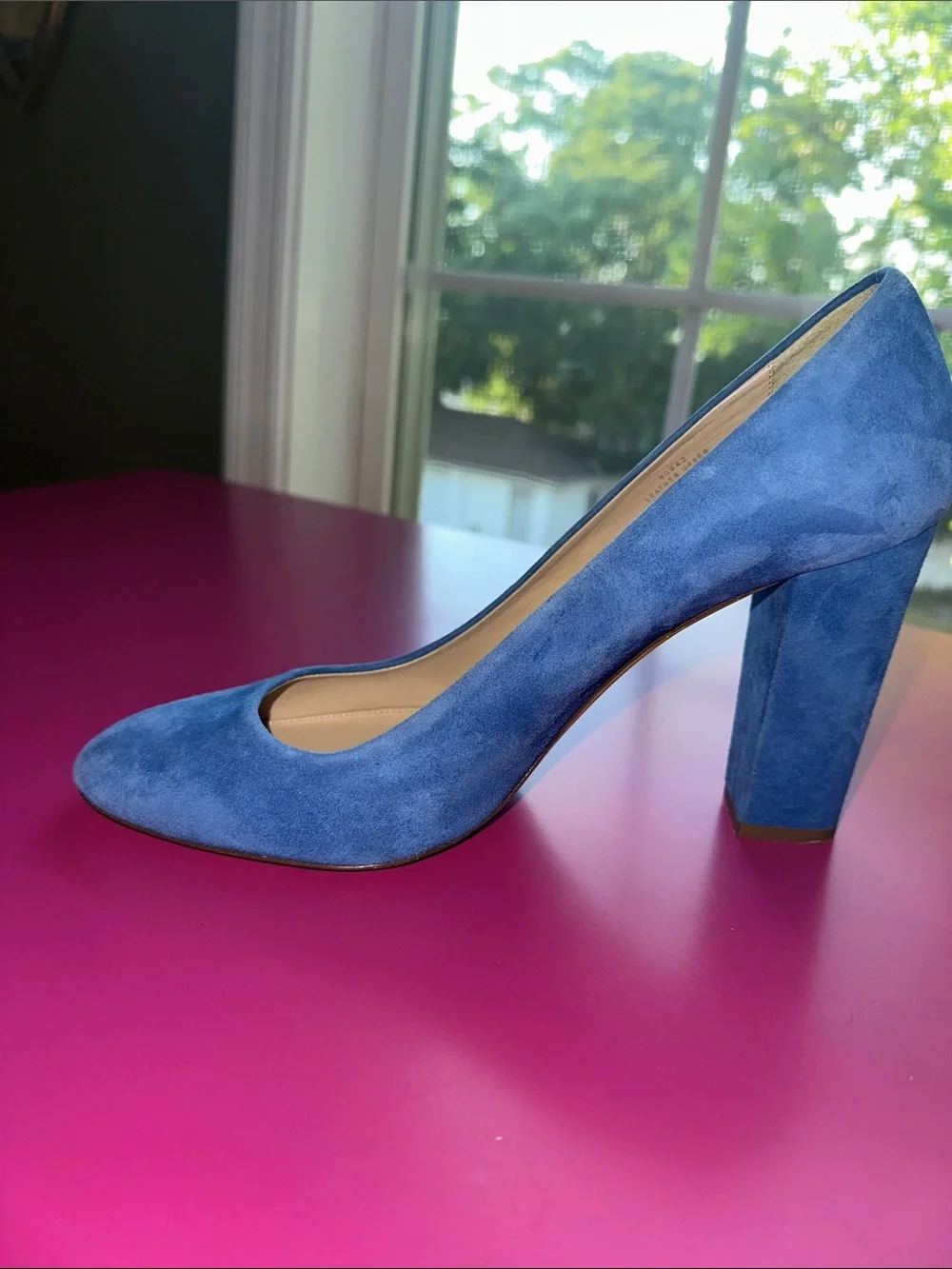 J. Crew Blue Suede Pointed Toe Pumps